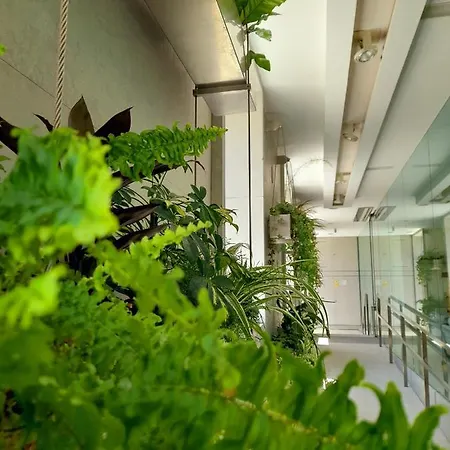 Hotel Hotel Ceres 3*