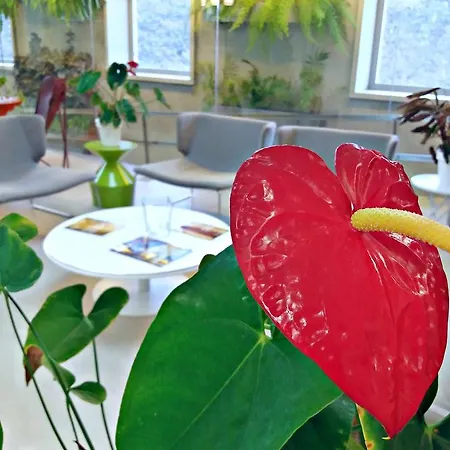 Szálloda Hotel Bienestar Ceres