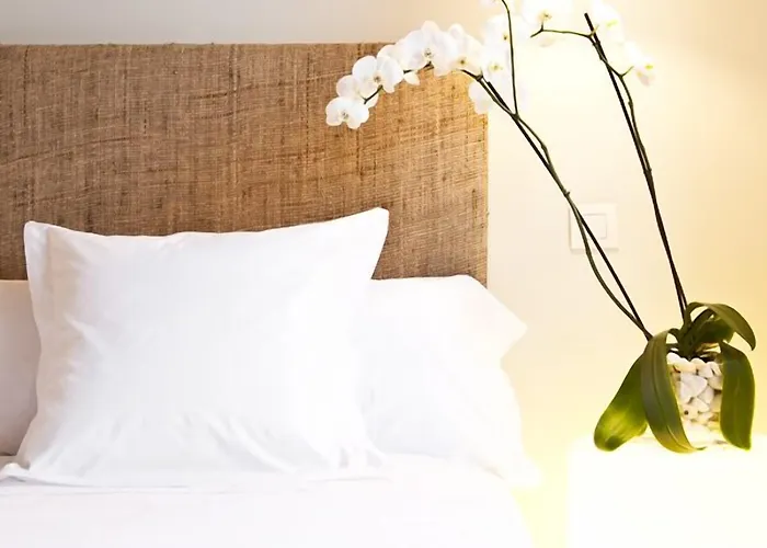 Hotel Ceres 3* 莱尔马