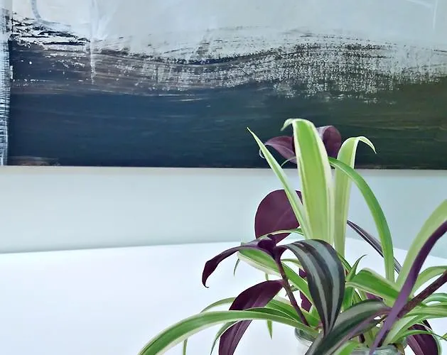 Hotel Ceres 酒店 莱尔马