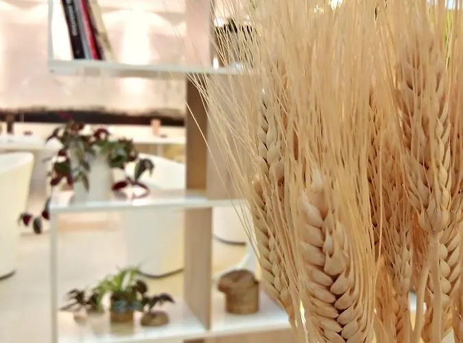 酒店 Hotel Ceres 莱尔马