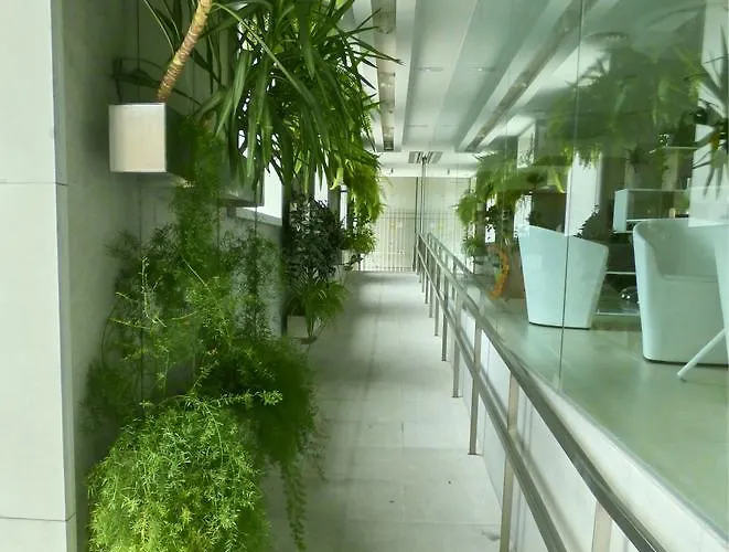 Hotel Ceres 3* 莱尔马